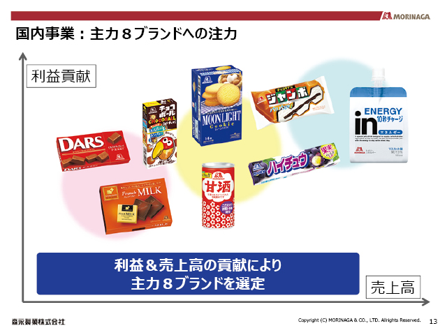 国内事業：主力８ブランドへの注力