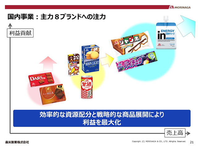 国内事業：主力８ブランドへの注力
