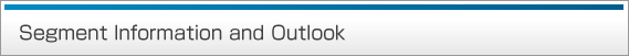 Segment Information and Outlook