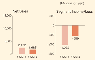 Net Sales E Segment Income/Loss