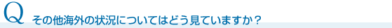 その他海外の状況