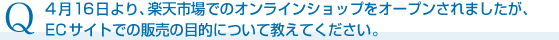 楽天市場でのオンラインショップ