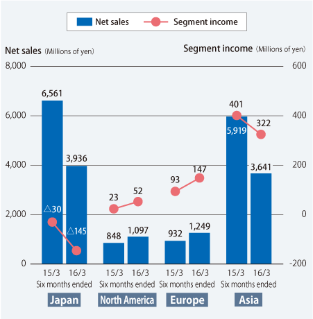Net Sales by Region