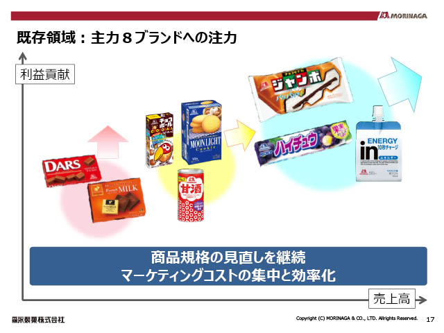 既存領域：主力８ブランドへの注力